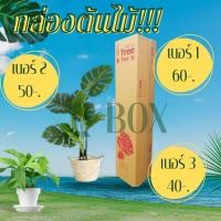 ราคา กล่องลูกฟูก 5 ชั้น (กล่องใส่ต้นไม้) (แพ็ค 10) กล่องกระดาษลูกฟูก ลังกระดาษ กล่องลัง กล่องกระดาษ (23558896827)