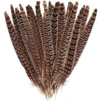 ราคา Obmwang 27 ชิ้น 25-30 เซนติเมตรธรรมชาติไก่ฟ้าขนนกสําหรับ DIY Craft Home Party ตกแต่ง (41077272589)