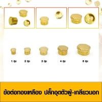 ราคา ข้อต่อทองเหลือง ข้อต่อประเภทปลั๊กอุดเกลียวนอก ปลั๊กอุดทองเหลืองตัวผู้ เกลียวนอก มีหลายขนาด (3268408475)