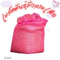 ราคา ถั่วลายเสือดิบแบบเมล็ด จังหวัดแม่ฮ่องสอน 5กก.-10กก. (26984123952)