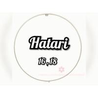 ราคา ขอบรัดตะแกรง*มือสอง คละสี Hatari ขนาดรุ่น 16 หรือ 18 นิ้ว (4849379504)