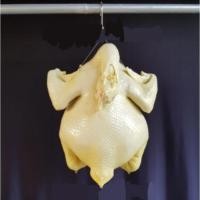 ราคา ไก่ปลอม เรซิ่น ขนาด 5 โล แบบขาว กว้าง 25 ยาว 31 cm ตัวละ 1‚400 บาท ไก่เรซิ่น ไก่ตอนปลอม ไก่ต้มปลอม ไก่ปลอม ไก่เทียม (5134520800)