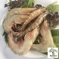 ราคา กุ้งแชบ๊วย กุ้งขาว กุ้งแชบ๊วยสด กุ้งแชบ๊วยแช่แข็ง กุ้งทะเลตัวโต อาหาร Seafood ราคาถูก มีหลายขนาดให้เลือก ส่งฟรี (10778785447)