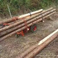 ราคา รถบรรทุกปีนเขา ไซต์ก่อสร้าง มอเตอร์ การเกษตร ดีเซล น้ำมันเบนซิน ทางลาดชัน ขนส่งสวนผลไม้ รถสามล้อไฟฟ้า รถเข็นไก่แบบดันมือ (26477067173)