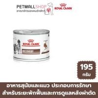 ราคา Royal Canin Recovery อาหารกระป๋องสำหรับสัตว์พักฟื้น​ 195​g. ระยะพักฟื้นและการดูแลหลังผ่าตัด (27339703883)