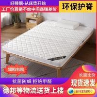 ราคา Tatami Coconut Palm Rice Single Simmons Palm Mat Hard Children Mat 1.21.8m1.5 ที่นอนหนาพิเศษพับได้ SLZZ (56403407217)