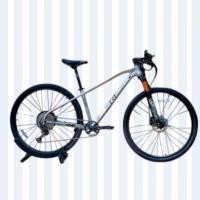 ราคา จักรยานเสือภูเขาRichter Alpha 29 นิ้ว สเปคสูง (29341058111)