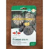 ราคา ฟักทองลูกผสม ข้าวตอก 573 F1 ตราศรแดง (4978133461)