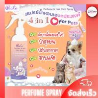ราคา สเปรย์อาบแห้ง ดับกลิ่นตัว บำรุงขน สำหรับ สุนัข แมว กระต่าย - Peata (25722460012)