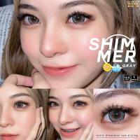ราคา คอนแทคเลนส์Shimmer Chestnut / Gray (Wink) ขนาดบิ๊กอาย (26974818264)