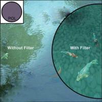 ราคา ❃ HOYA CPL Pro1 ดิจิตอล 37_40.5_43_46_49_52_55_58_62_67_72_77_82Mm CICULA Polarizer ป้องกันเลนส ❃ (41405311568)