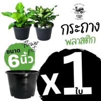 ราคา กระถางต้นไม้ size 6" กระถางพลาสติก กระถางต้นไม้พลาสติก (พลาสติกเกรด A) (46602374141)