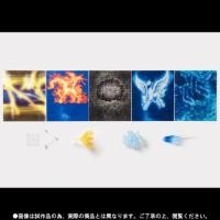 ราคา SAINT CLOTH MYTH EX EFFECT PARTS SET PEGASUS & SAGITTARIUS (P-BANDAI) (26427078481)
