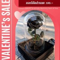 ราคา กุหลาบในโหลแก้ว กุหลาบสีดำ กุหลาบดำ ของจริงอยู่ได้นาน5ปี (1425298726)