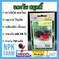 ราคา ผักซอง เจียไต๋ แตงโม สมูทตี้ จำนวน 10 เมล็ด หมดอายุ เมล็ดพันธุ์ ลอตใหม่ งอกดี แตงโมเปลือกดำ ไร้เมล็ด (46000015491)