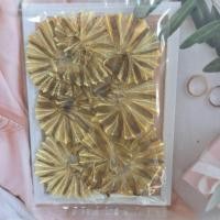 ราคา ปลาวง(จิ๋ว)ปลากระเบนวง(จิ๋ว) (26637514856)