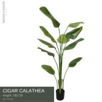 ราคา ต้นคล้าซิการ์ เสมือนจริง Artificial Cigar Calathea (24114963574)