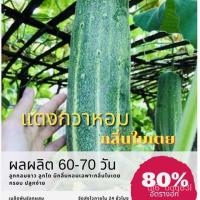 ราคา เมล็ดพันธุ์ แตงกวาหอม 25 เมล็ด Onion cucumber แตงกวาแม้ว แตงกวากลิ่นใบเตย แตงกวาหอมใบเตย (ซื้อ 10 แถม 1 คละอย่างได้) /เม (10866566932)