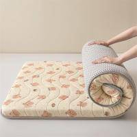 ราคา พร้อมส่งพับได้ 3-4 ซม. หนา ที่นอนเมมโมรีโฟม ที่นอน แก้ปวดหลัง ใช้เป็นที่นอนหลักไดไม่ยอมยุบตัว 3ฟุต,3.5ฟุต, 5 ฟุต, 6 ฟุต, แบบนุ่มสบาย (44157666865)