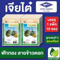 ราคา เมล็ดพันธุ์ ผักซอง ฟักทอง ลายข้าวตอก CT25 ตราเจียไต๋ บรรจุแพ็คละ 10 ซอง (24826048189)