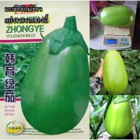 ราคา 100+ เมล็ด เมล็ดมะเขือยักษ์เขียว (ผลยักษ์ใหญ่ เนื้อเยอะหวานกรอบ เนื้อสีขาว เปลือกสีเขียวอ่อน รสชาติเหมือนมะเขือเปราะ) (19791782065)