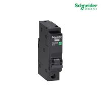 ราคา Schneider Electric - QOvs เซอร์กิตเบรกเกอร์ ลูกย่อยชนิด 40 แอมป์ 1 โพล 10kA_QO140VSC10T ที่ร้าน PlugOn (8078662188)