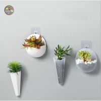 ราคา กระถางต้นไม้ กระถางไฮโดรโปนิค แบบติดผนัง ☘️ คละสี** กระถางปลูกต้นไม้แบบติดผนัง (12013682757)