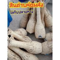 ราคา อีจู้ดักปลาไหล ที่ดักปลาไหล ตุ้มดักปลาไหล ที่ใส่ปลาไหล ไซดักปลาไหล ไซดักปลา ไซดักปลาไหล ดักปลาไหล อิจู้ ตุ้มเอียน ไม้ไผ่ (6840149474)