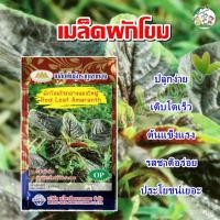 ราคา เมล็ด เมล็ด เมล็ดอินทรีย์โขม ใจกลางแดงใเพาะ่ Red Leaf Amaranth เมล็ดอินทรีย์โขม อินทรีย์อินทรี ด (16197221512)