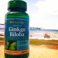 ราคา Puritan's Ginkgo Biloba ใบแปะก้วยช่วยเรื่องความจำ (2995604)