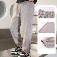 ราคา กางเกงเด็กชาย สำหรับกิจกรรมกลางแจ้งและสวมใส่วันหยุด (56302986932)