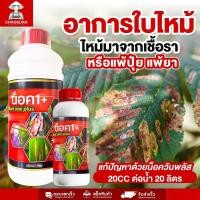 ราคา อาการใบไหม้ ไหม้มาจากเชื้อราหรือแพ้ปุ๋ย แพ้ยา แก้ปัญหาด้วยน็อควันพลัส (43100496740)