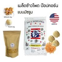 ราคา เมล็ดข้าวโพดป๊อปคอร์นพันธุ์เห็ด Mushroom ยี่ห้อนกอินทรี (41973117749)