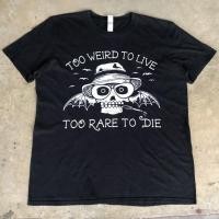 ราคา vtg.T-Shirt เสื้อวง PANIC AT THE DISCO TOO WEIRD TO LIVE TOO RARE TO DIE MADE IN NICARAGUA Sz.L 100% COTTON (6795018672)