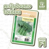 ราคา เมล็ดพันธุ์ คะน้าฮ่องกง โอเชี่ยน ตรา เจียไต๋ ต้นอวบ ใบใหญ่ หวานกรอบ 685 เมล็ด (4096687413)