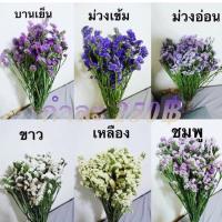 ราคา ดอกสแตติสแบบกำ (ไม่จัดช่อ) #ดอกไม้แห้ง #ช่อดอกไม้ #ดอกไม้จัดช่อ (1932815331)
