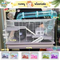 ราคา กรงหนูแฮมสเตอร์ กรง47 กรงใส กรงมีท่อต่อ กรงพร้อมอุปกรณ์ กรง 4730 กรงชูก้าร์ไกลเดอร์ กรงสัตว์เล็ก (23158431197)