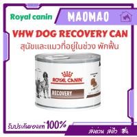ราคา (1 กระป๋อง) Royal Canin Recovery อาหารชนิดเปียกสำหรับ สุนัขและแมวที่อยู่ระหว่างพักฟื้น 195 g. (48950180611)