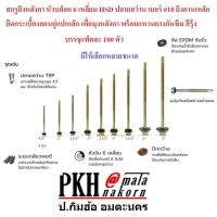 ราคา สกรู ยิงหลังคาหัวบล็อค6เหลี่ยม HSD ปลายสว่าน เบอร์#10 ยิงคานเหล็กยึดกระเบื้องลอนคู่มุงหลังคา พร้อมแหวนยาง 100ตัว (21970033350)