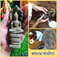 ราคา พระนาคปรก ขุดพบใต้โบถส์เก่า จ.อยุธยา (2556602501)