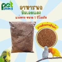 ราคา [1kg.] อาหารนก มิลเล็ตแดงแบ่งขาย มิลเลตสเปรย์แดง อาหารสำหรับ นก นกแก้ว นกหงส์หยก นกเลิฟเบิร์ด นกค็อกคาเทล ขนมนก (23650988395)