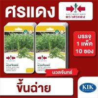 ราคา เมล็ดพันธุ์ ผักซอง ศรแดง ขึ้นฉ่าย นวลจันทร์ F1 บรรจุแพ็คละ 10 ซอง (18475490650)