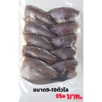 ราคา ปลาสลิดแดดเดียว บางบ่อ ไซร์ M 9-10 ตัว 1 กิโลกรัม (12909503932)