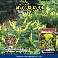 ราคา เมล็ดพริกขี้หนูขาว Hot Pepper ตราภูเขาทอง เมล็ดพันธุ์พริกขี้หนู เมล็ดพริกขี้หนู เมล็ดพริก เมล็ดพันธุ์ผัก เมล็ดผักสวนครัว (4458887669)