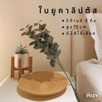 ราคา THE PIIXY (พร้อมส่ง) ใบยูคาลิปตัส ก้านยูคาลิปตัส ต้นยูคาลิปตัส ยูคาลิปตัส ใบไม้ปลอม สีเขียว สีม่วง 1 ก้านมี 3 กิ่ง (6048805701)