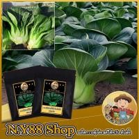 ราคา มาใหม่5แถม1เมล็ดกวางตุ้งเบบี้ไต้หวัน ต้นเตี้ย 500เมล็ด เมล็ดกวางตุ้งฮ่องเต้ เมล็ดกวางตุ้งเบบี้ ปลูกง่าย ทนร้อนทรงสวย (23041116867)