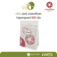 ราคา กล้วยผง เวชพงศ์โอสถ Vejpongosot ขนาด 500 กรัม - (1 ถุง) (29470144202)