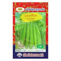 ราคา เมล็ดบวบเหลี่ยม Loofah ตราภูเขาทอง ขนาด10กรัม เมล็ดพันธุ์บวบเหลี่ยม บวบเหลี่ยม เมล็ดพันธุ์ผัก เมล็ดผักสวนครัว (19744178164)