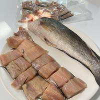 ราคา พร้อมส่ง ปลาช่อนแดดเดียวสิงห์บุรี (แบบหั่นชิ้น) ปลาช่อนแม่ลา ของขึ้นชื่อจังหวัดสิงห์บุรี (41924796655)