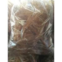 ราคา #ปลาปิ่นแก้ว ปลาไส้ตัน (1172966844)